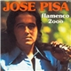 José Pisa - Flamenco 2000 / Slow Flamenco